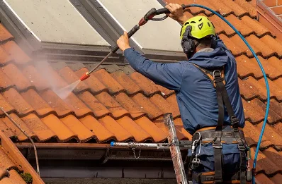 Démoussage et hydrofuge de toiture à Bazauges